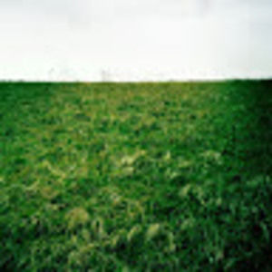 Meet your Posher, Eliza